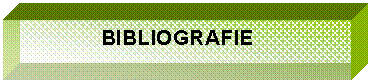 Text Box: BIBLIOGRAFIE
